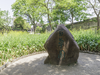 绍兴百草园