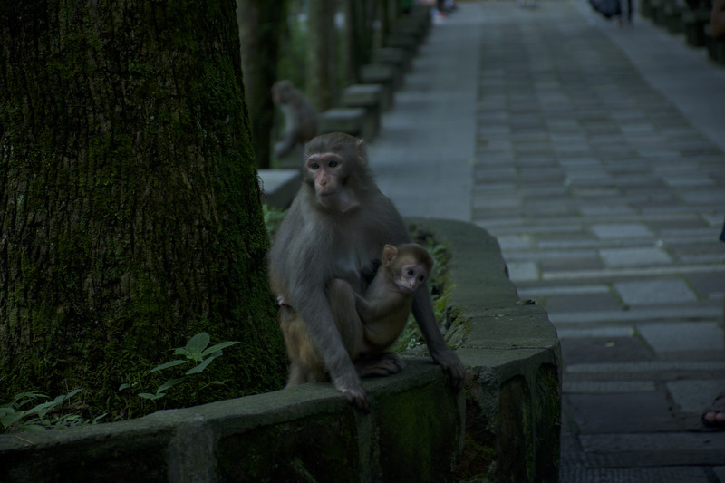  鳳凰古城