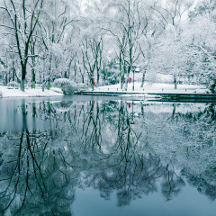 杭州江南雪景 
