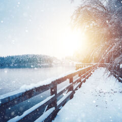 Idyllic Frozen Footpath