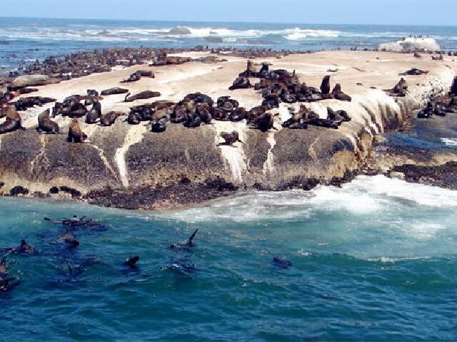 南非+迪拜7晚10日游 3晚开普敦住宿,参观葡萄