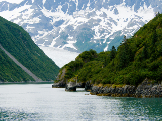 基奈峡湾国家公园