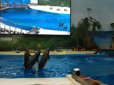 門票名稱: 天津海昌極地海洋公園兩館通玩成人票(極地館 遠古海洋館)