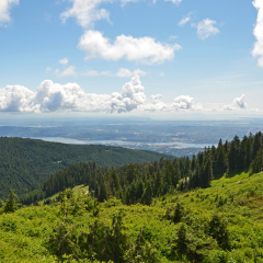 Vancouver city view from Grouse Mountain