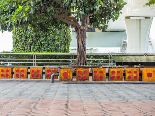 厦门博饼民俗园