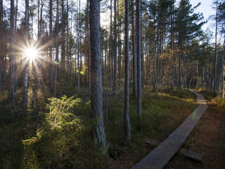 努克西奥国家公园