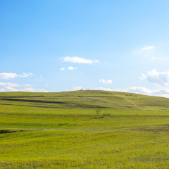 Bashang grassland in Hebei, China