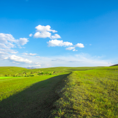 Bashang grassland in Hebei, China