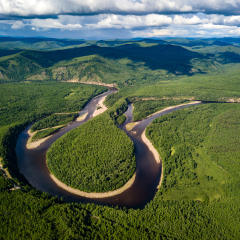 内蒙古莫尔道嘎苍狼白鹿岛