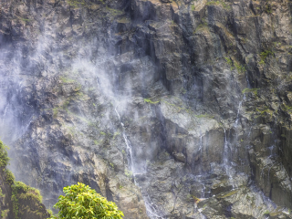 库兰达热带雨林公园