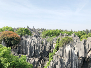 云南石林风景名胜区