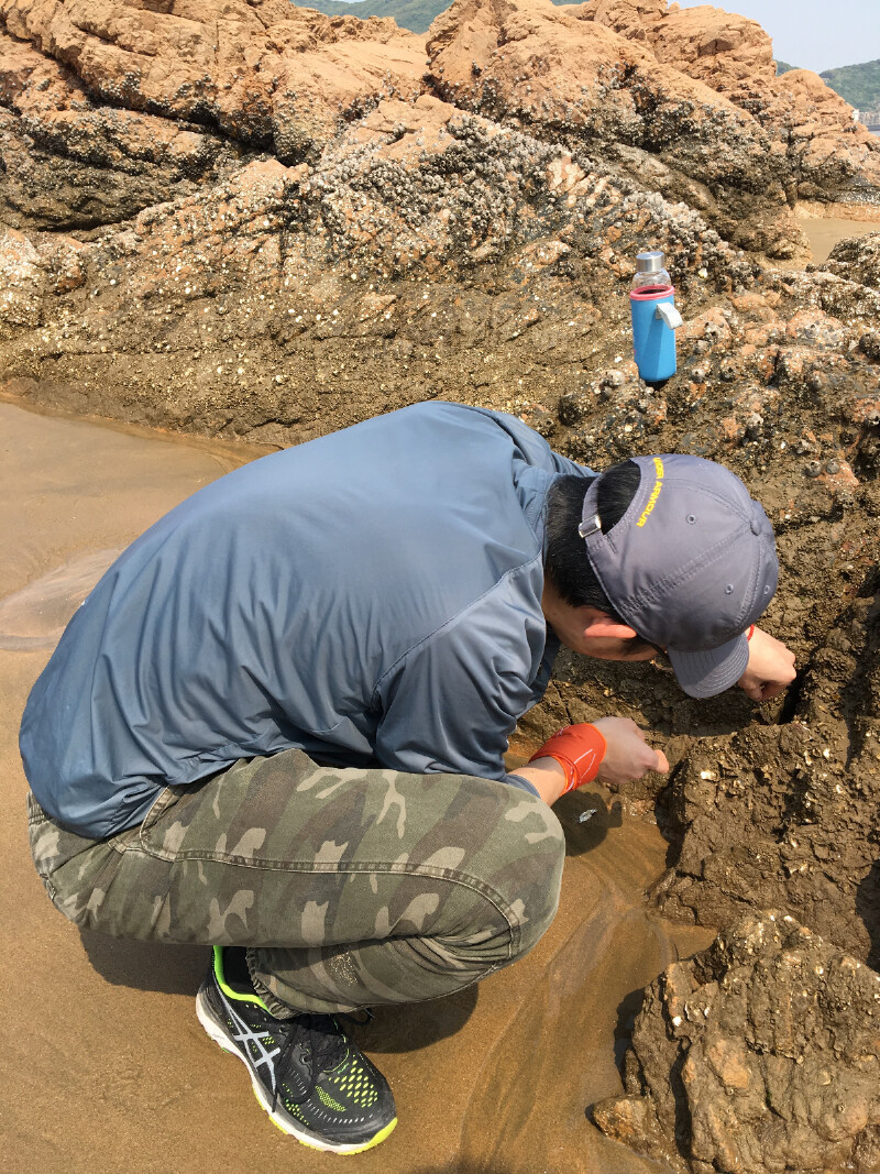 嵊泗找兼职 嵊泗找兼职