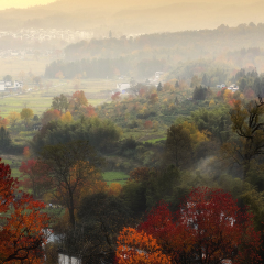 Tachuan autumn