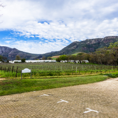 CAPE TOWNE, SOUTH AFRICA - JULY 16, 2018: Vineyards in oldest wine estate in South Africa - Groot Constantia (1685). Groot Constantia - provincial heritage site in suburb of Constantia in Cape Town.