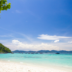 Coral IsIand, Phuket, Thailand