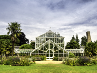 剑桥大学植物园
