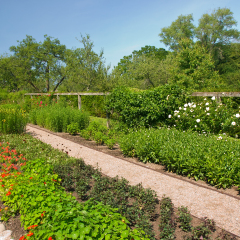Sofiero garden
