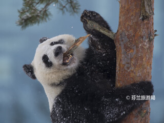 艾赫泰里动物园