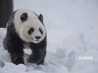 艾赫泰里动物园