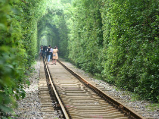 桦墅村爱情隧道