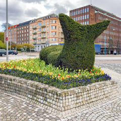 A hedge sculpture in the shape of a slug in the city center of Helsingborg in Sweden.