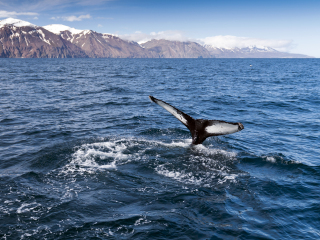 雷克雅未克大教堂