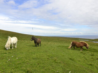 雷克雅未克大教堂