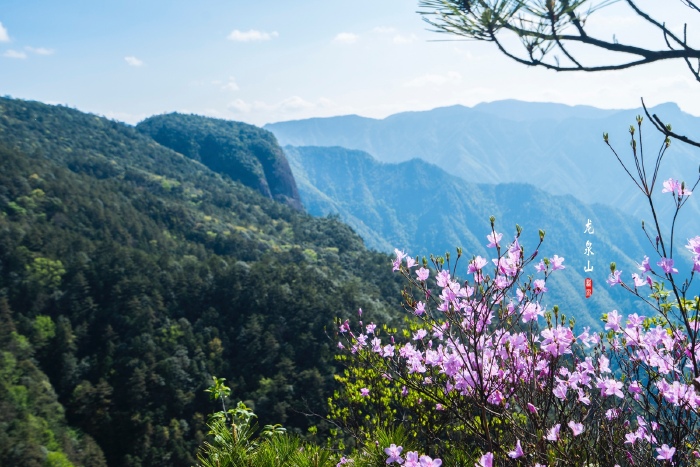        丽水龙泉山