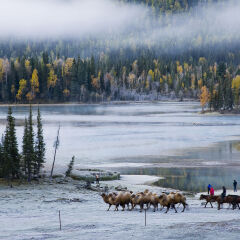 Altay Xinjiang,Kanas,