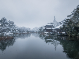 杭州曲院风荷景区