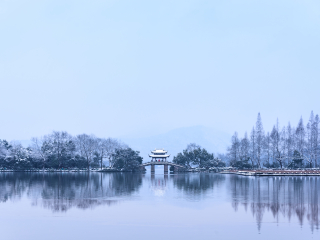 杭州曲院风荷景区