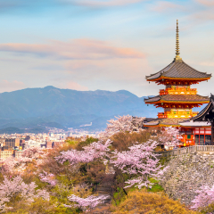 Kiyomizu-dera Temple and cherry blossom season (Sakura) spring time in Kyoto, Japan