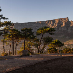 A view of Table Mountain from a pathway on Signal Hill, Cape Town, South Africa 
