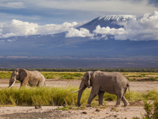 肯尼亚山国家公园