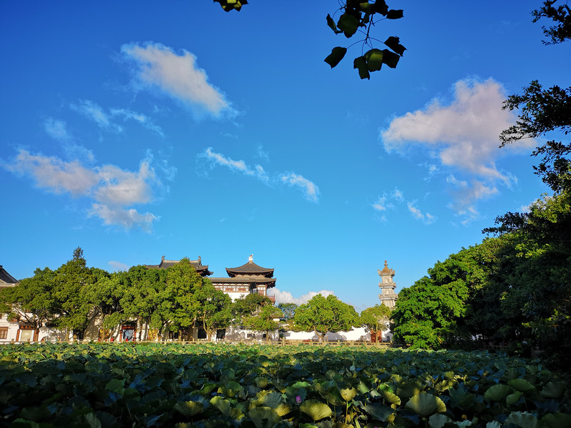 途牛首發旅行中的豐言鋒語普陀山祈福還願