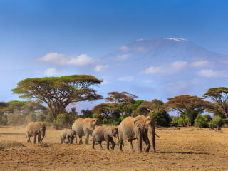 安博塞利国家公园