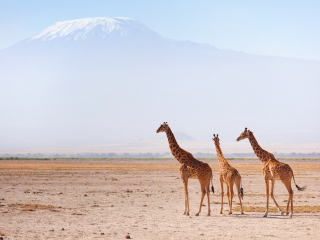 安博塞利国家公园