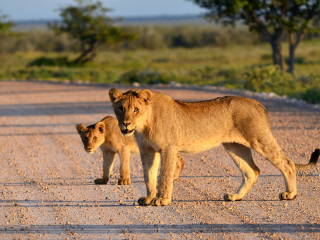 安博塞利国家公园
