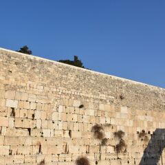 Wailing Wall in Jerusalem