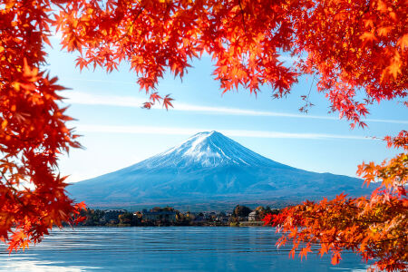 <日本大阪-奈良-京都-富士山-东京6-7日游>畅玩本州四大名城京都奈良双古都巡游泡温泉品美食茶道体验西安海航直飞双点进出不绕路