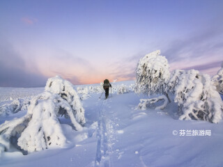 乌尔霍凯科宁国家公园