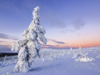 乌尔霍凯科宁国家公园