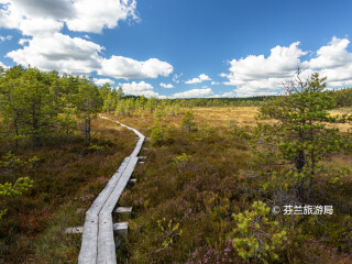 乌尔霍凯科宁国家公园