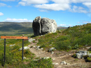 马拉自然保护区