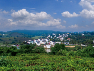 黄龙岘茶文化村