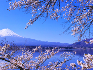 河口湖