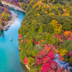 Aerial view boat on the river bring tourist people to enjoy autumn colors along katsura river to Arashiyama mountain area during fall season in Arashiyama, Kyoto, Japan.