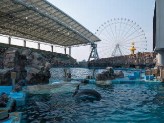 名古屋港水族馆