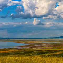 内蒙达里诺尔湖的风景