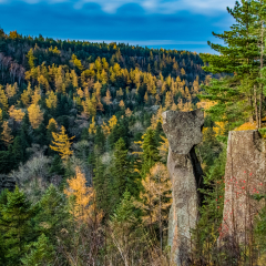 Changbai Mountain in Jilin Province underground forest area